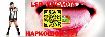 индика Бузулук