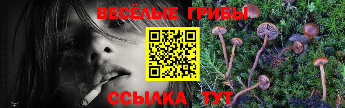 Галлюциногенные грибы MAGIC MUSHROOMS Нальчик